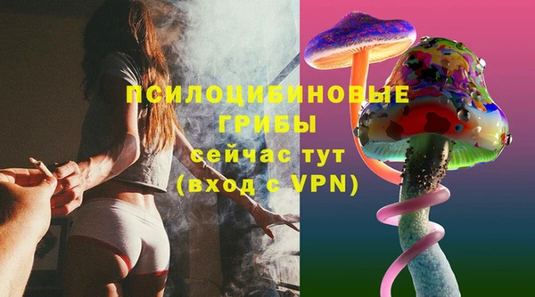 ПСИЛОЦИБИНОВЫЕ ГРИБЫ Алексеевка