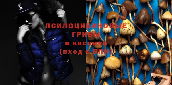 дурь Алексин